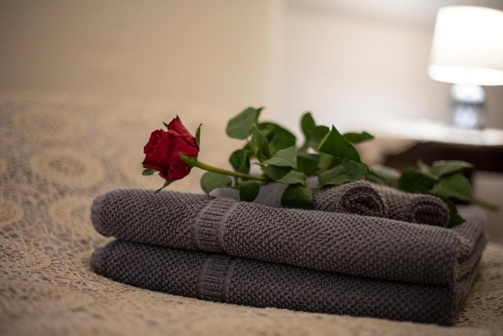 B&B Dogana D'Acqua Rooms & Art