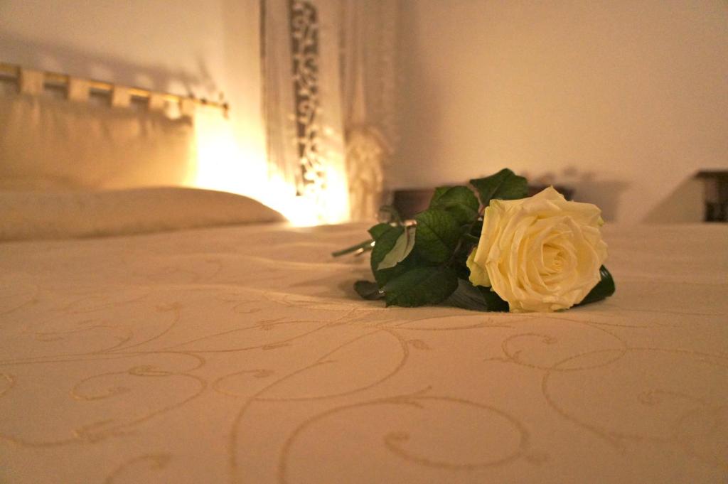 Agriturismo Ronchi di Sant'Egidio