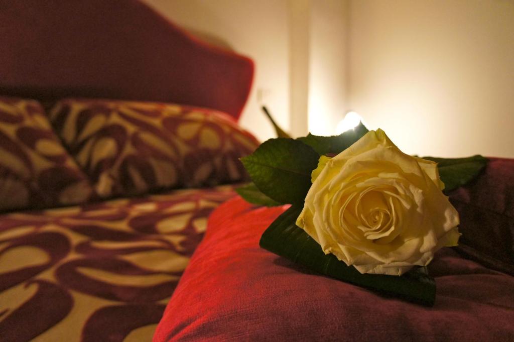 Agriturismo Ronchi di Sant'Egidio