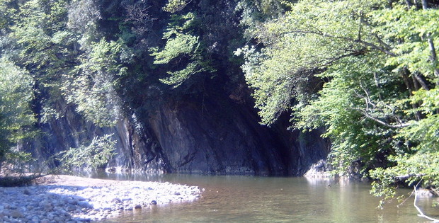 Agriturismo Colombino