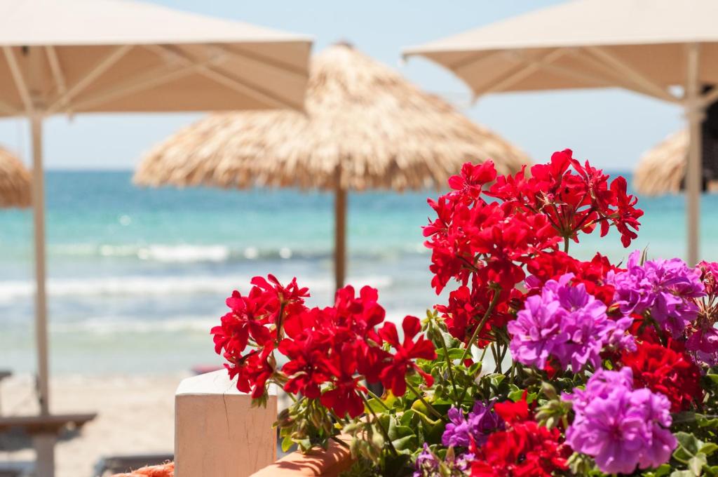 Conchiglia Azzurra Resort & Beach